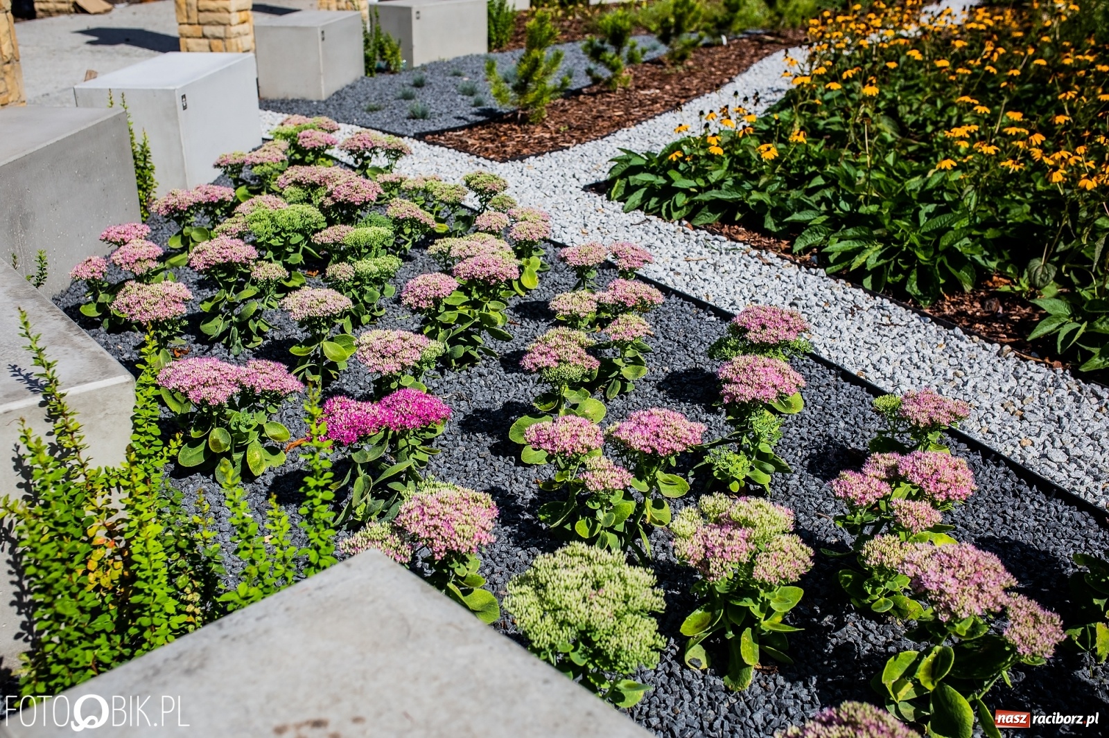 Zdjęcie w galerii na portalu naszraciborz.pl: Tak będzie wyglądał plac zabaw w Parku Jordanowskim wiadomości z regionu
