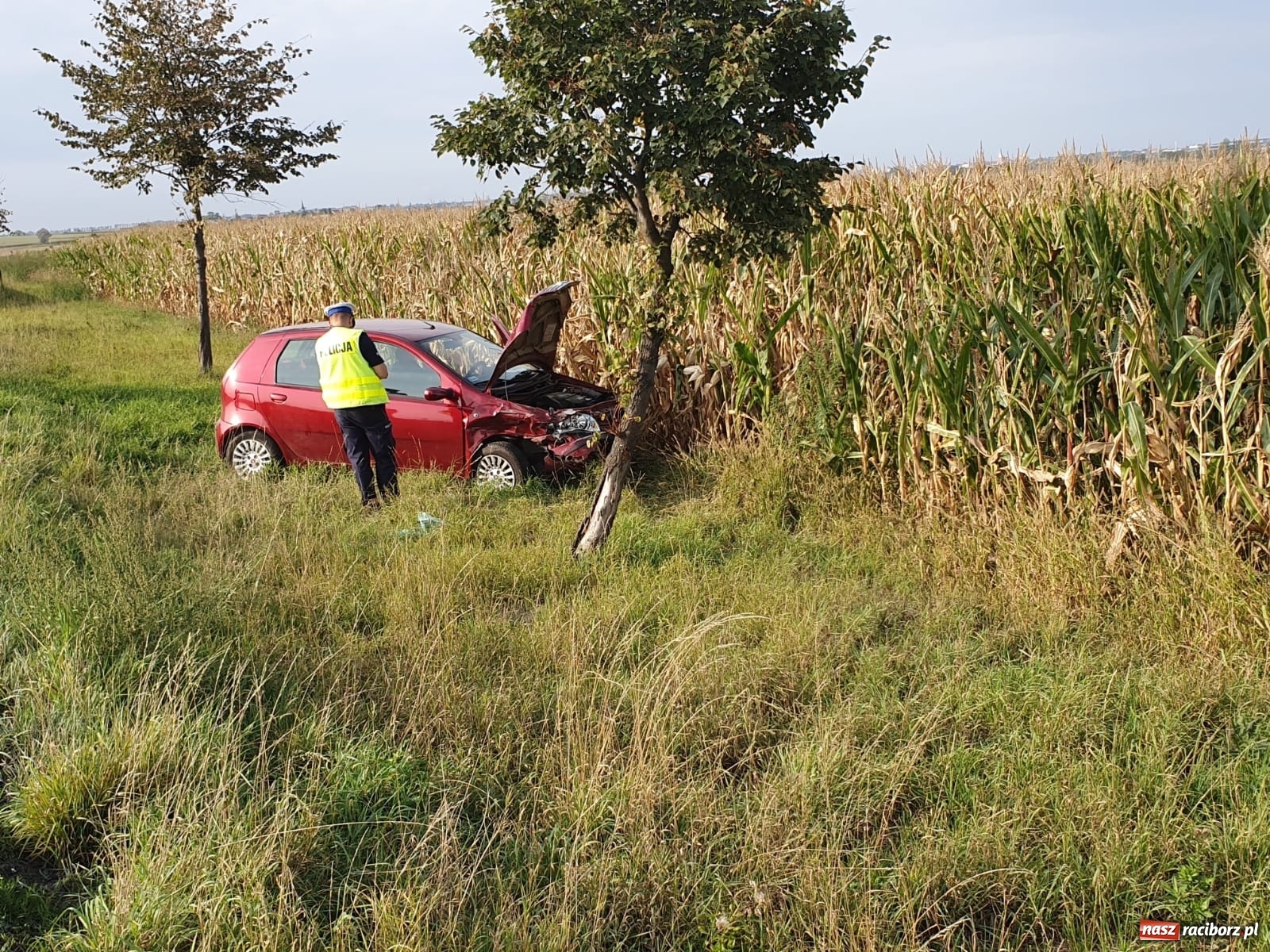 Zdjęcie w galerii na portalu naszraciborz.pl: Groźne zderzenie pojazdów na DK 45 przed Bieńkowicami [FOTO] wiadomości z regionu