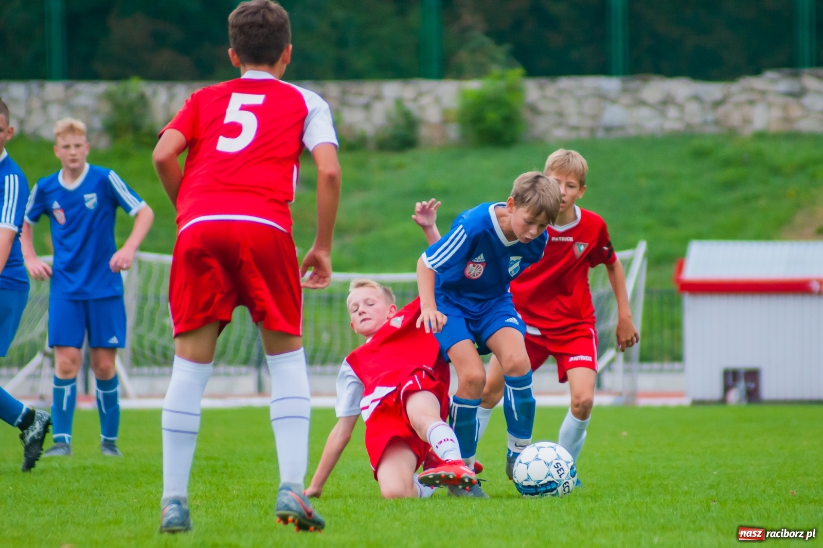 Zdjęcie w galerii na portalu naszraciborz.pl: Zagłębie Sosnowiec lepsze od Unii [FOTO i WIDEO] wiadomości z regionu