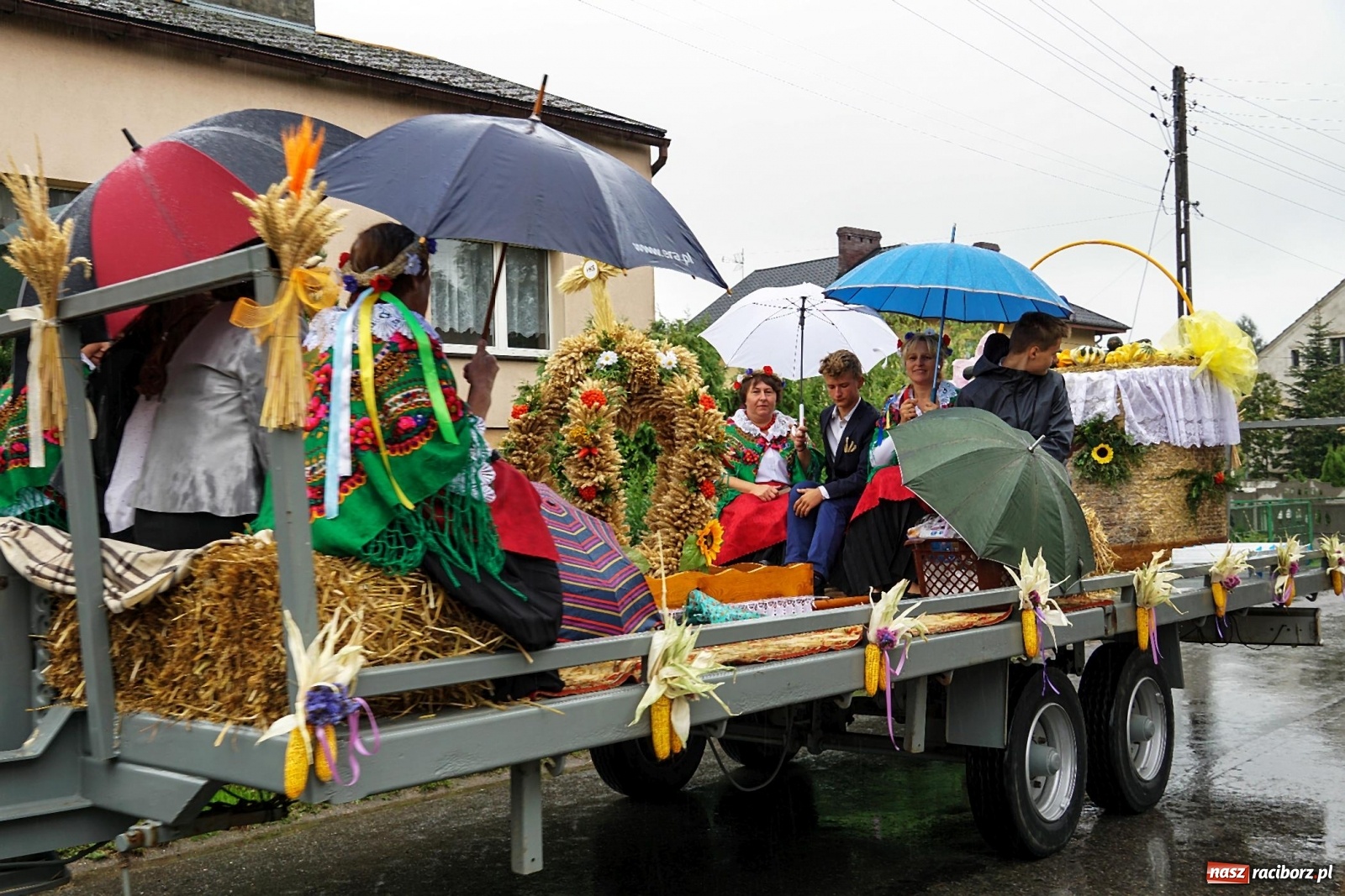 Zdjęcie w galerii na portalu naszraciborz.pl: Deszczowe dożynki w Gamowie [FOTO i WIDEO]  wiadomości z regionu