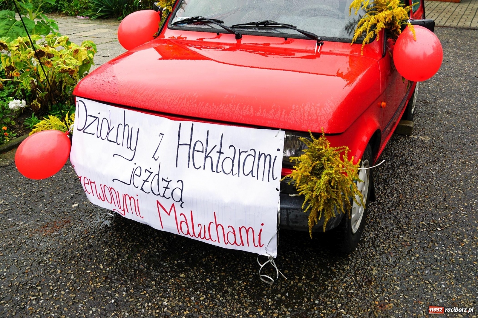 Zdjęcie w galerii na portalu naszraciborz.pl: Deszczowe dożynki w Gamowie [FOTO i WIDEO]  wiadomości z regionu