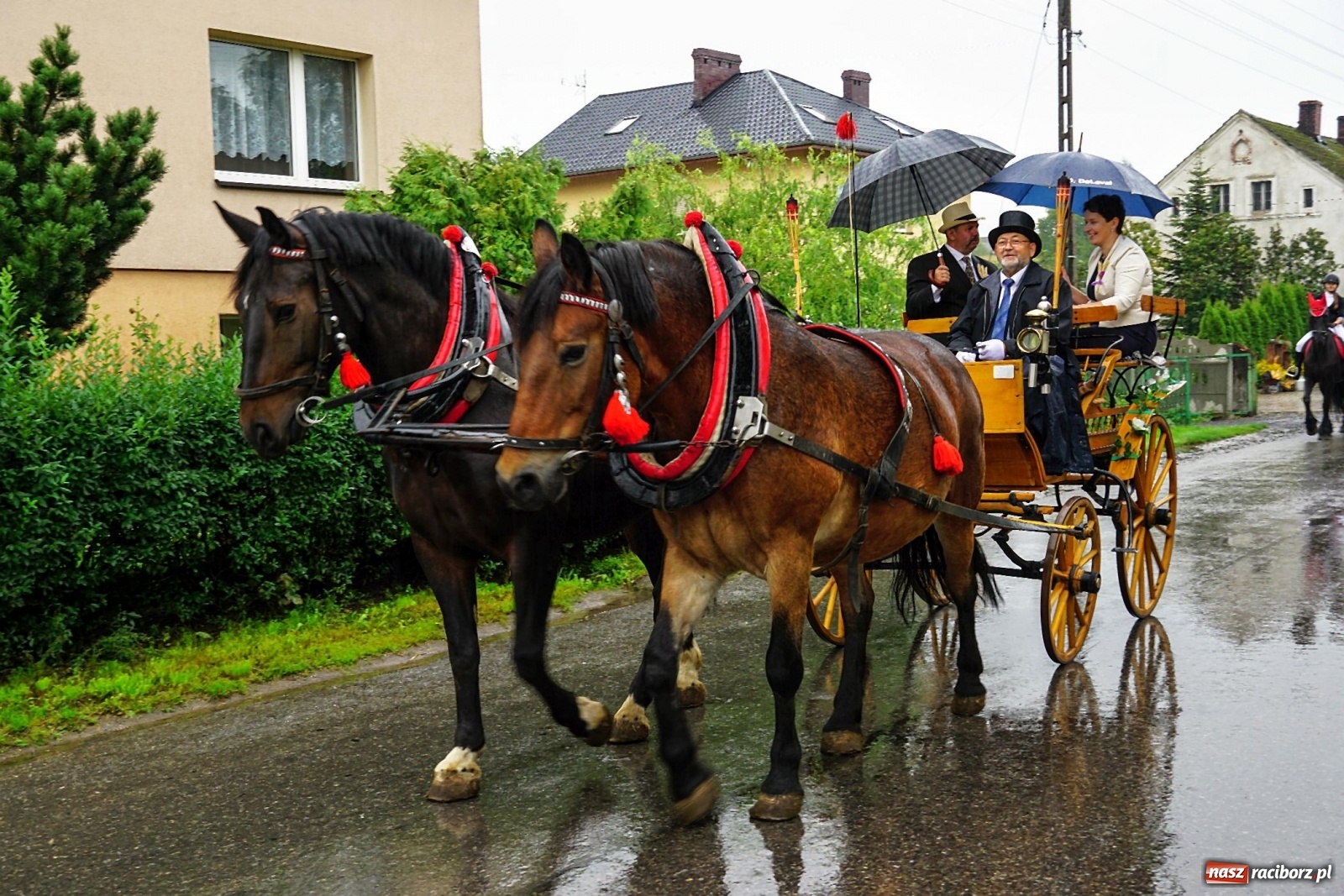 Zdjęcie w galerii na portalu naszraciborz.pl: Deszczowe dożynki w Gamowie [FOTO i WIDEO]  wiadomości z regionu
