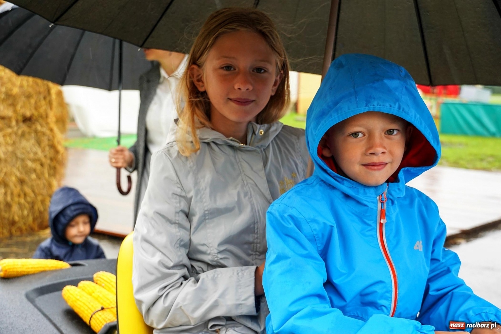 Zdjęcie w galerii na portalu naszraciborz.pl: Deszczowe dożynki w Gamowie [FOTO i WIDEO]  wiadomości z regionu