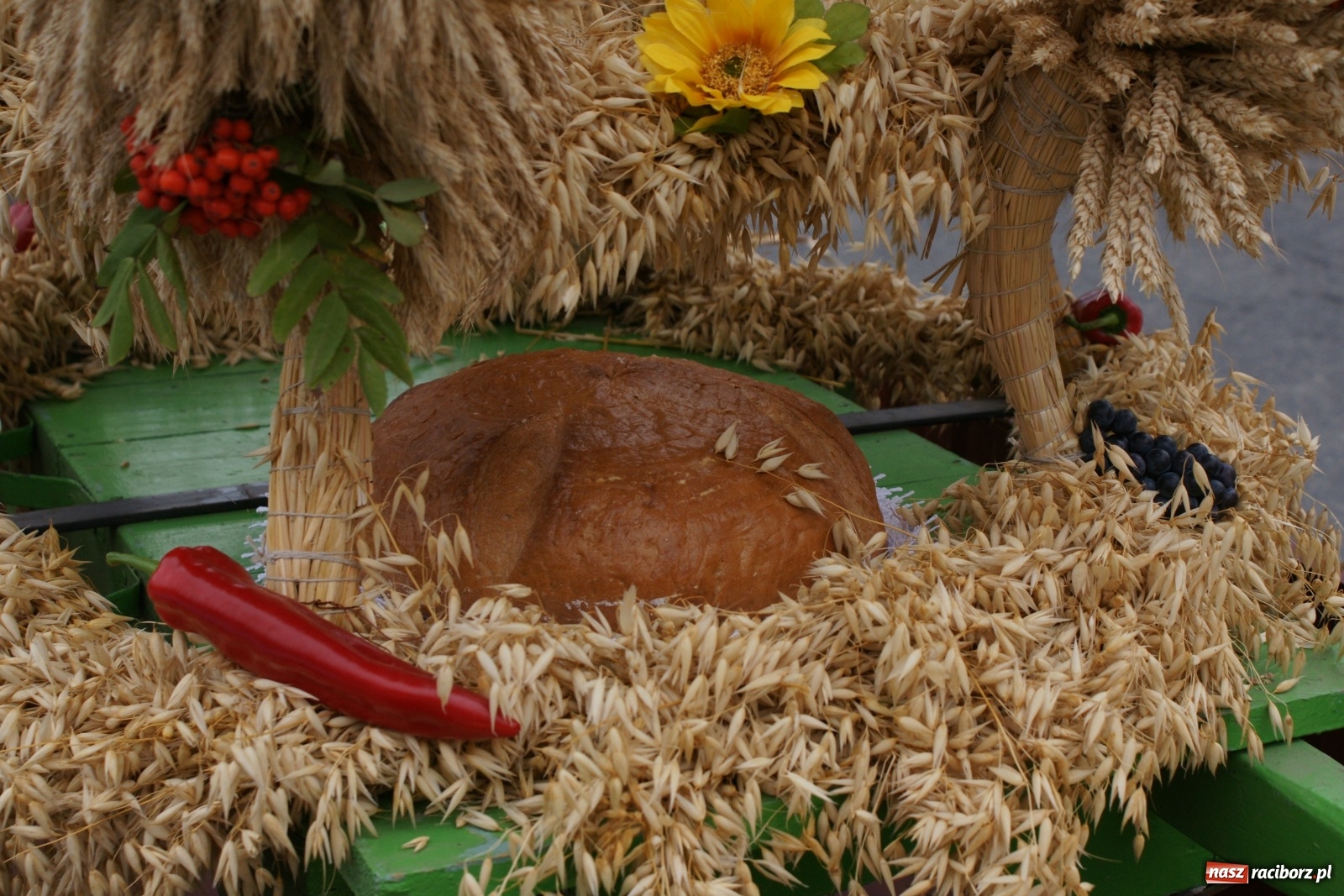 Zdjęcie w galerii na portalu naszraciborz.pl: Rolnicy ze Studziennej podziękowali za plony [FOTO i WIDEO] wiadomości z regionu