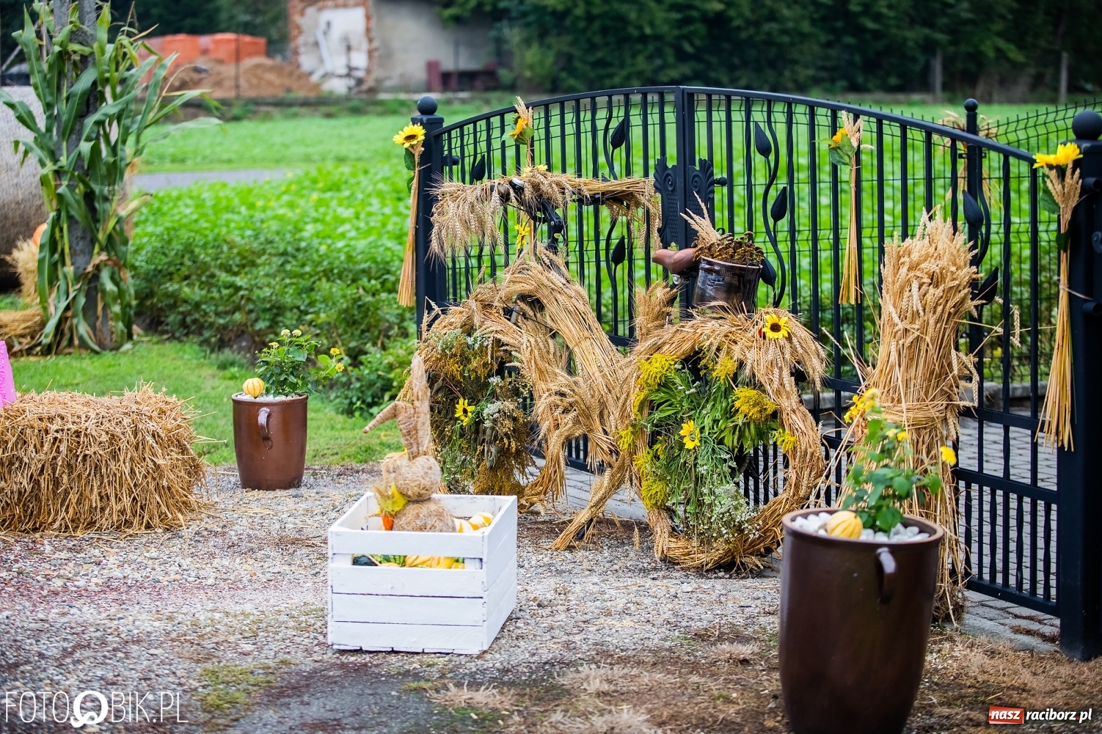 Zdjęcie w galerii na portalu naszraciborz.pl: Dożynki 2019. Gmina Krzyżanowice bawiła się w Rudyszwałdzie [FOTO i WIDEO] wiadomości z regionu