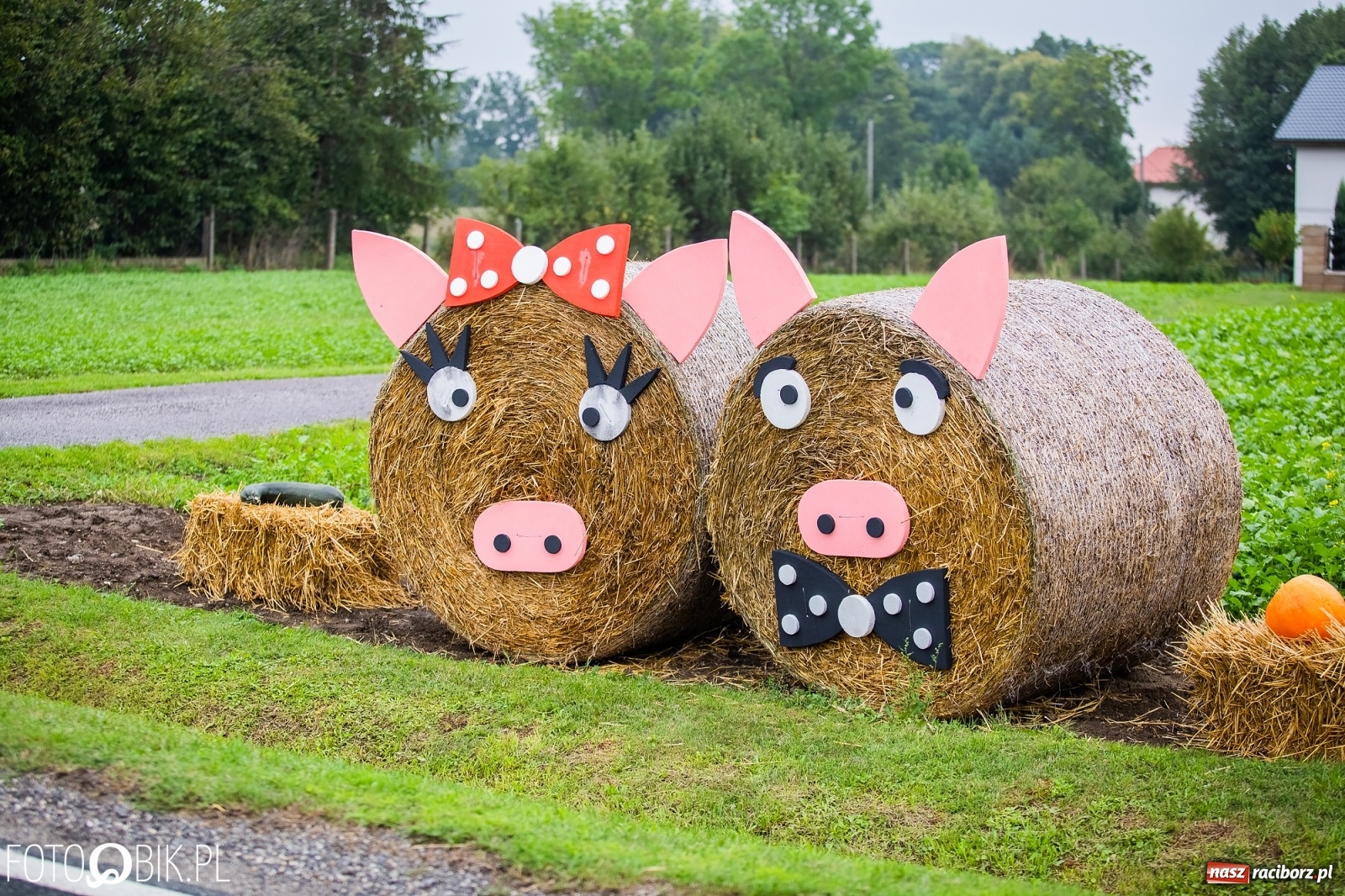 Zdjęcie w galerii na portalu naszraciborz.pl: Dożynki 2019. Gmina Krzyżanowice bawiła się w Rudyszwałdzie [FOTO i WIDEO] wiadomości z regionu