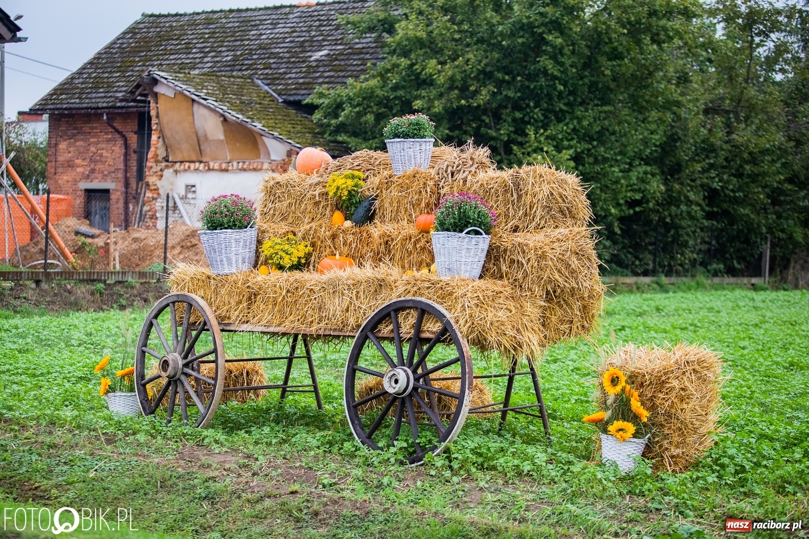 Zdjęcie w galerii na portalu naszraciborz.pl: Dożynki 2019. Gmina Krzyżanowice bawiła się w Rudyszwałdzie [FOTO i WIDEO] wiadomości z regionu