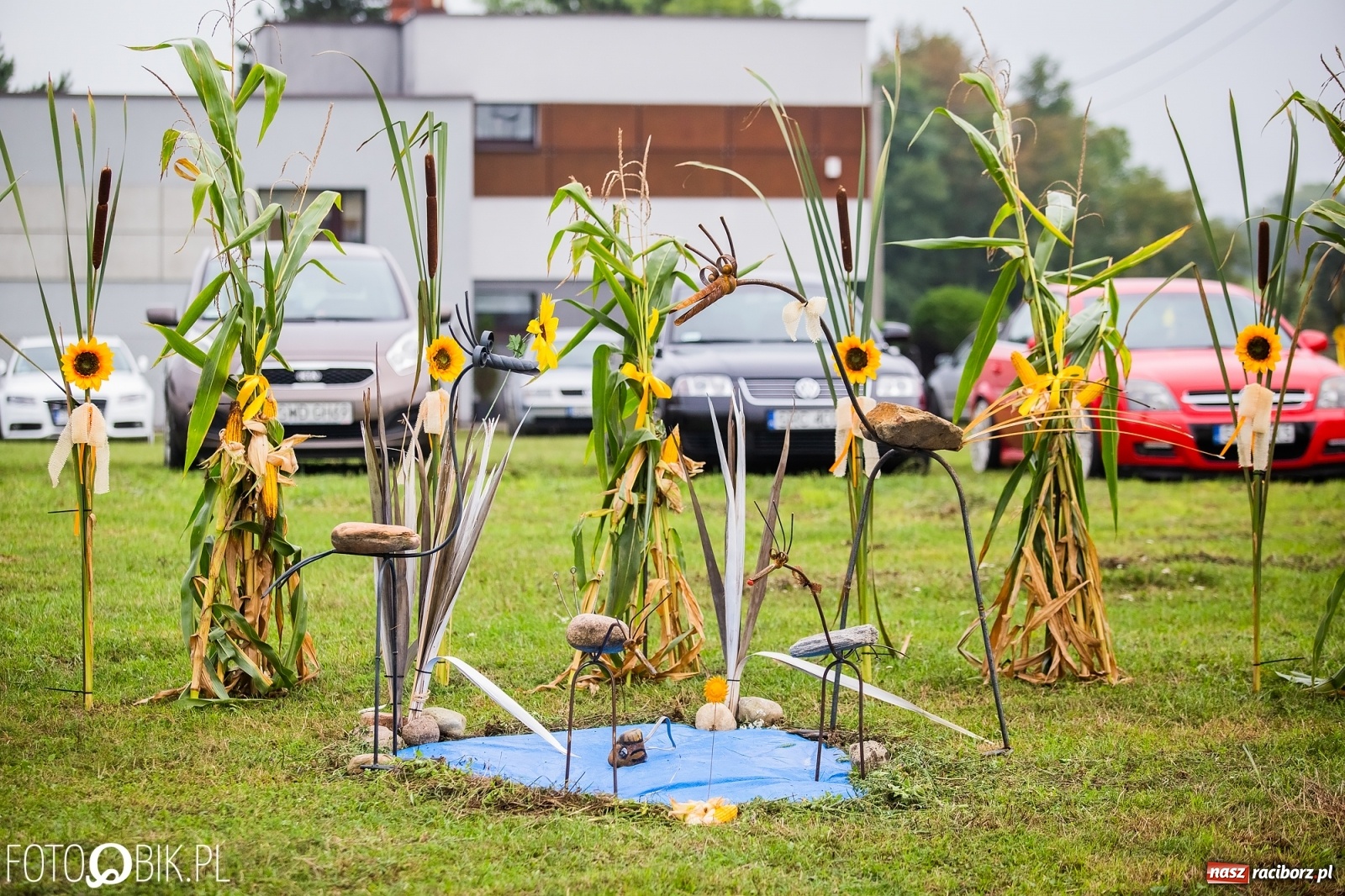 Zdjęcie w galerii na portalu naszraciborz.pl: Dożynki 2019. Gmina Krzyżanowice bawiła się w Rudyszwałdzie [FOTO i WIDEO] wiadomości z regionu