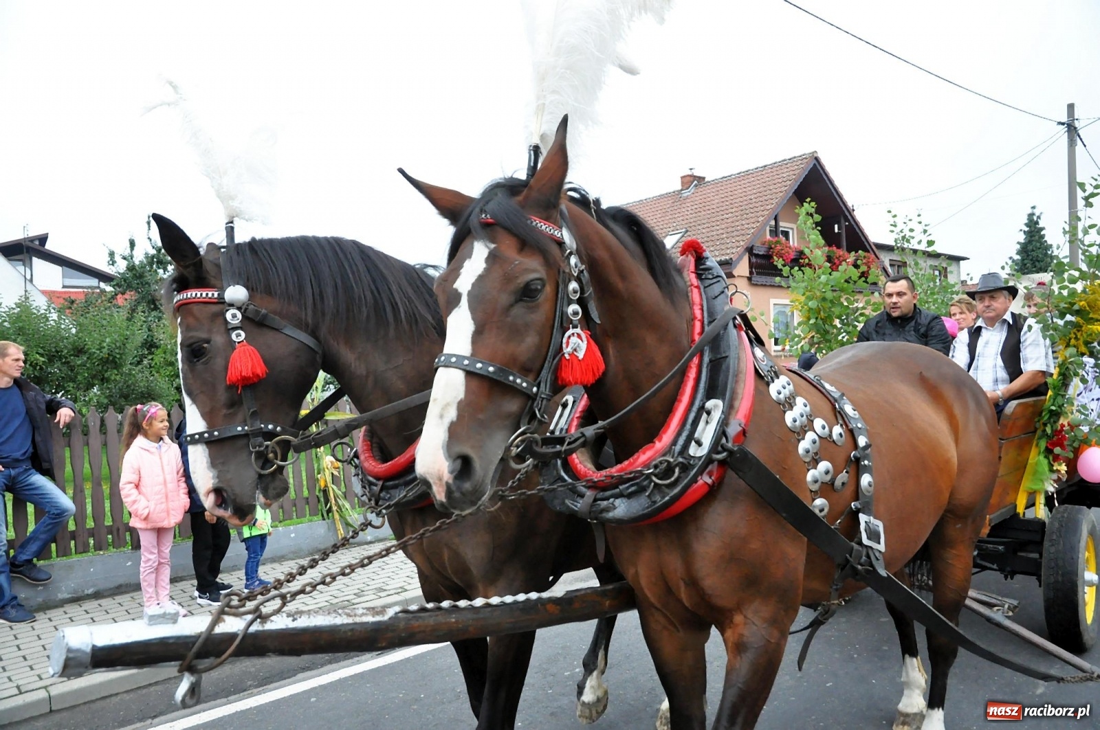 Zdjęcie w galerii na portalu naszraciborz.pl: Dożynki 2019. Gmina Krzyżanowice bawiła się w Rudyszwałdzie [FOTO i WIDEO] wiadomości z regionu