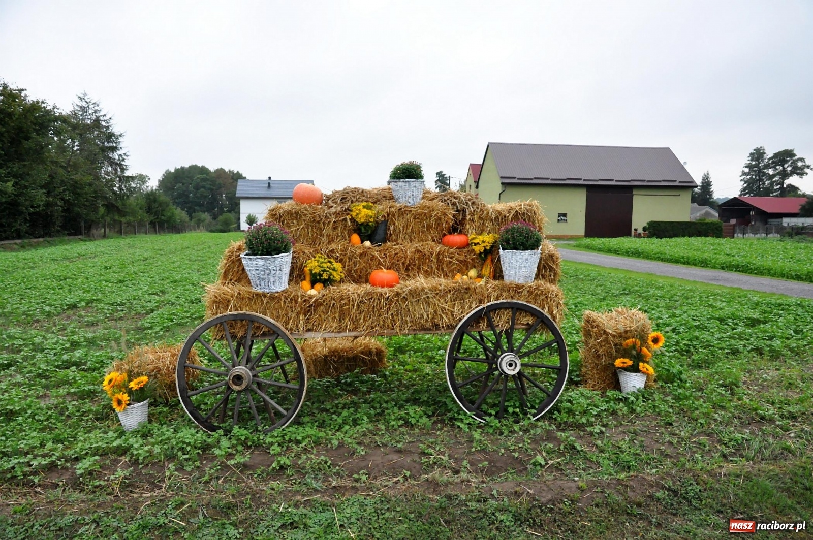 Zdjęcie w galerii na portalu naszraciborz.pl: Dożynki 2019. Gmina Krzyżanowice bawiła się w Rudyszwałdzie [FOTO i WIDEO] wiadomości z regionu