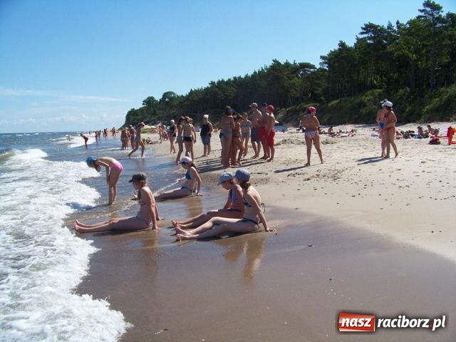 Zdjęcie w galerii na portalu naszraciborz.pl: Pleśna - list do redakcji wiadomości z regionu