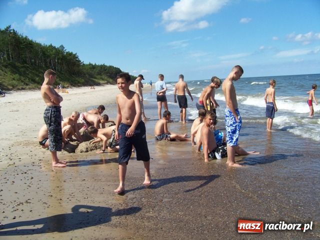 Zdjęcie w galerii na portalu naszraciborz.pl: Pleśna - list do redakcji wiadomości z regionu