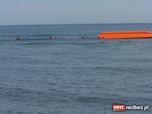 Zdjęcie w galerii na portalu naszraciborz.pl: Pleśna - list do redakcji wiadomości z regionu