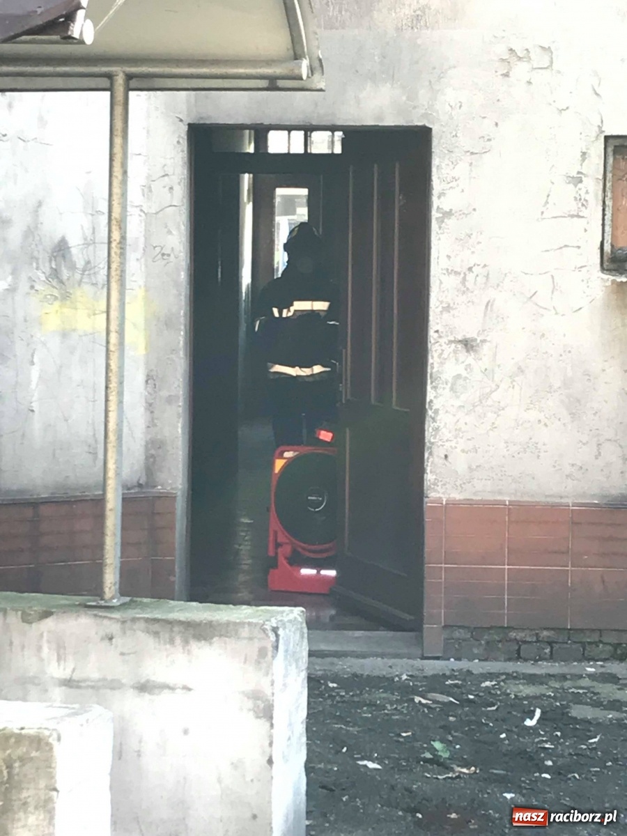 Zdjęcie w galerii na portalu naszraciborz.pl: Dwa wyjazdy pod rząd. Straż na Żorskiej i Opawskiej  wiadomości z regionu