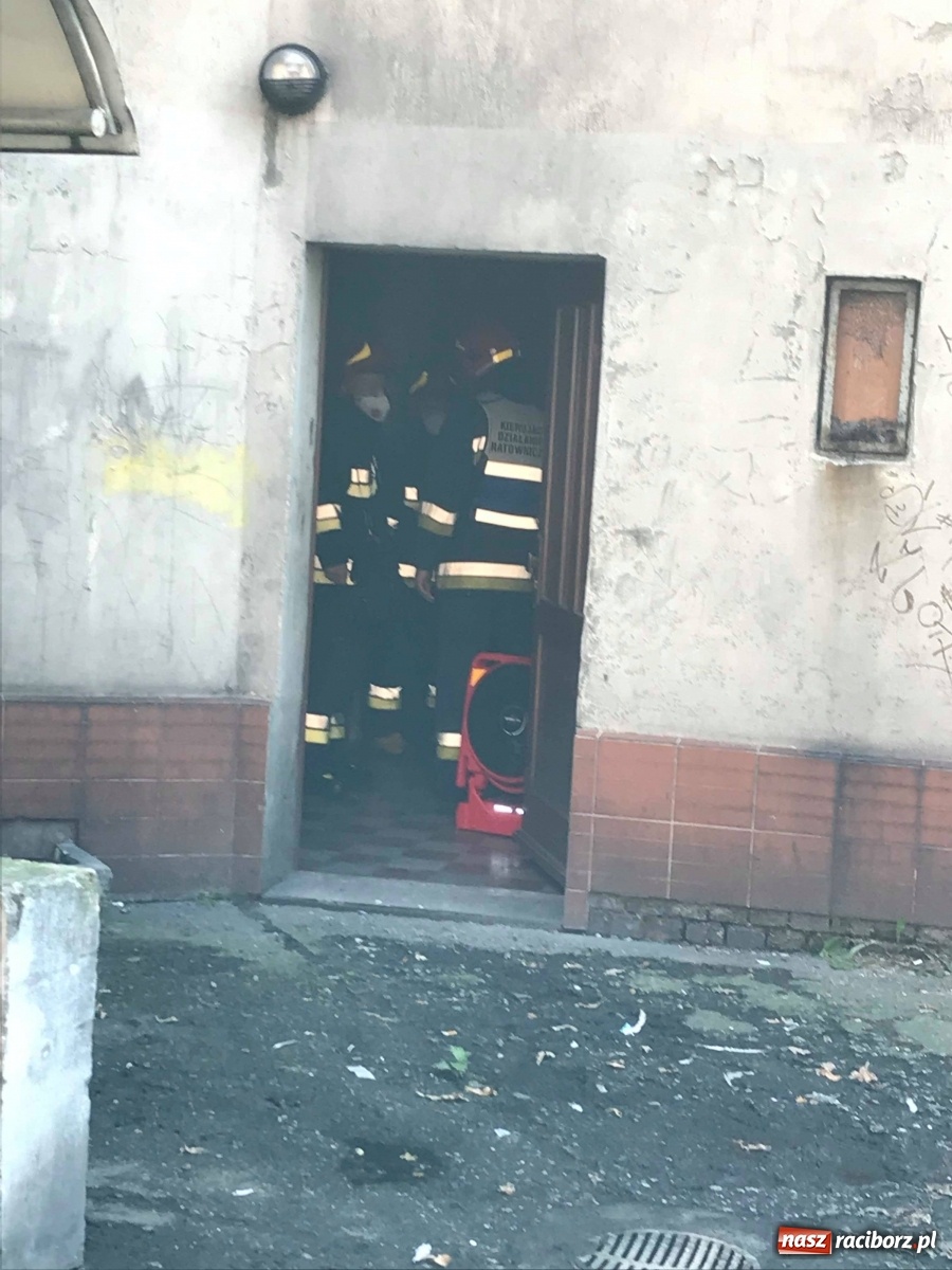 Zdjęcie w galerii na portalu naszraciborz.pl: Dwa wyjazdy pod rząd. Straż na Żorskiej i Opawskiej  wiadomości z regionu