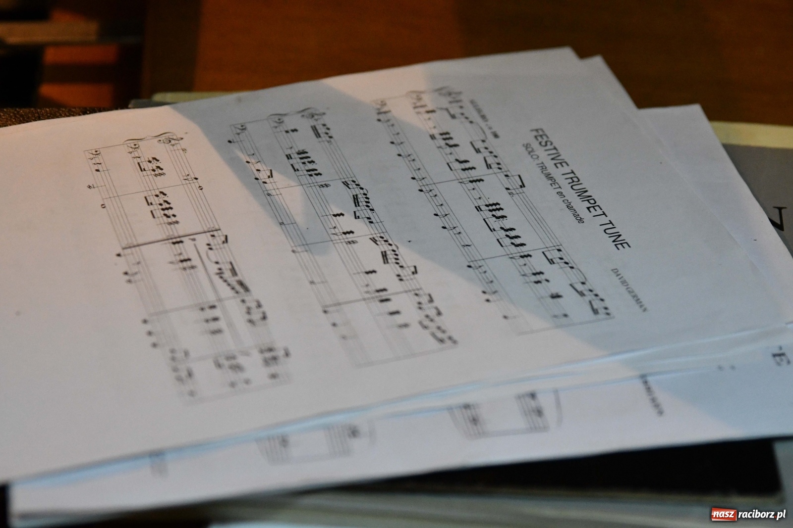 Zdjęcie w galerii na portalu naszraciborz.pl: Dni Muzyki Organowej. Arkadiusz Popławski wystąpił w kościele farnym  wiadomości z regionu