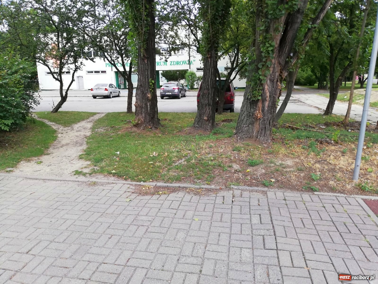 Zdjęcie w galerii na portalu naszraciborz.pl: Kto odpowiada za ten chodnik? wiadomości z regionu