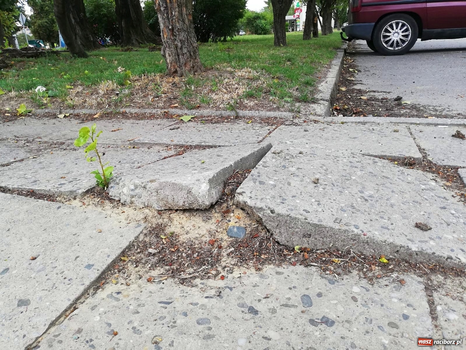 Zdjęcie w galerii na portalu naszraciborz.pl: Kto odpowiada za ten chodnik? wiadomości z regionu