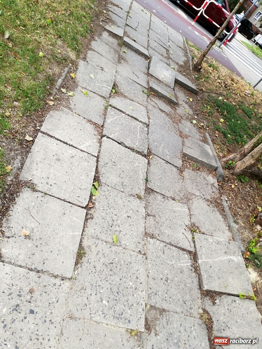 Zdjęcie w galerii na portalu naszraciborz.pl: Kto odpowiada za ten chodnik? wiadomości z regionu