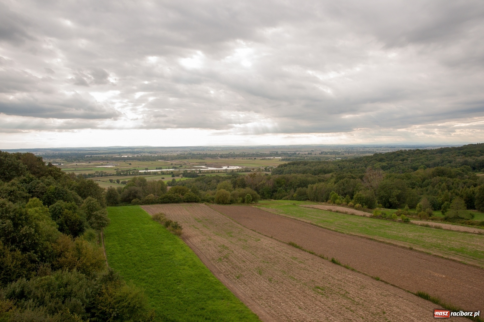 Zdjęcie w galerii na portalu naszraciborz.pl: Wieża widokowa w Pogrzebieniu już otwarta. Zobaczcie, co z niej widać [FOTO]  wiadomości z regionu