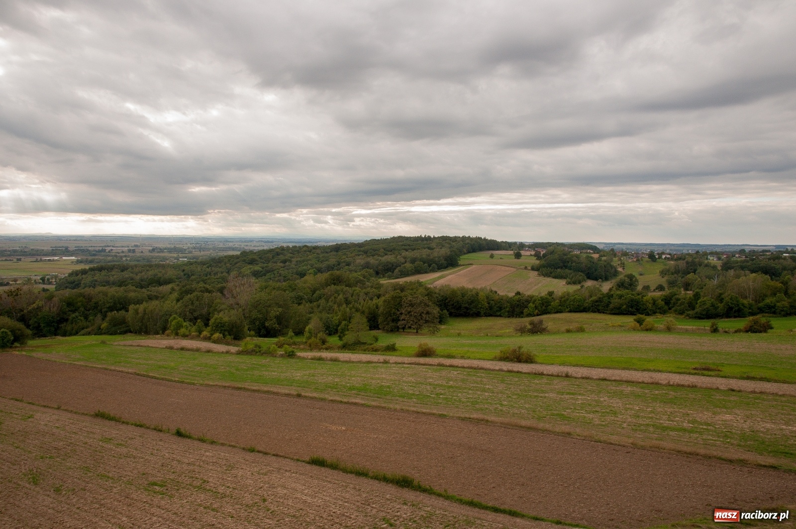 Zdjęcie w galerii na portalu naszraciborz.pl: Wieża widokowa w Pogrzebieniu już otwarta. Zobaczcie, co z niej widać [FOTO]  wiadomości z regionu