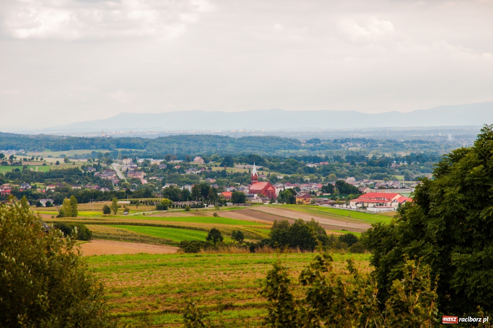Zdjęcie w galerii na portalu naszraciborz.pl: Wieża widokowa w Pogrzebieniu już otwarta. Zobaczcie, co z niej widać [FOTO]  wiadomości z regionu