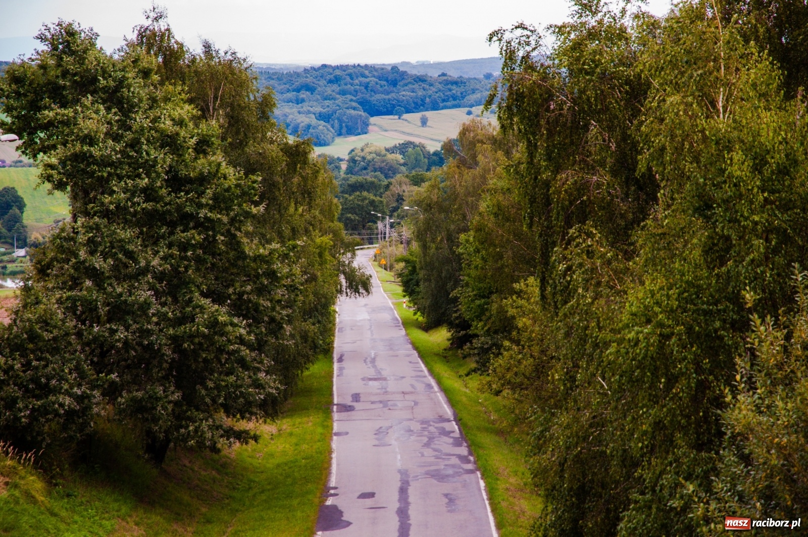 Zdjęcie w galerii na portalu naszraciborz.pl: Wieża widokowa w Pogrzebieniu już otwarta. Zobaczcie, co z niej widać [FOTO]  wiadomości z regionu