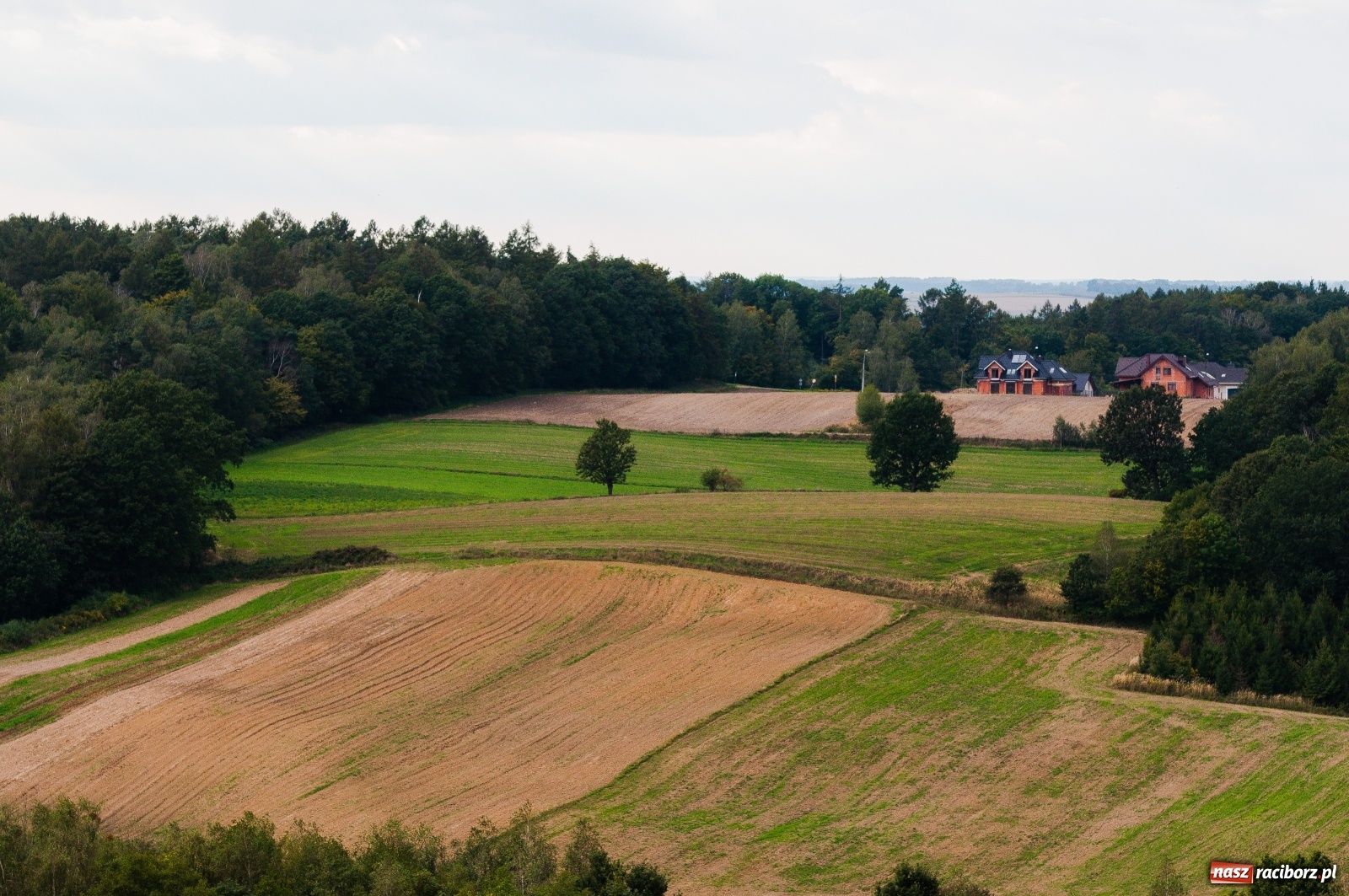 Zdjęcie w galerii na portalu naszraciborz.pl: Wieża widokowa w Pogrzebieniu już otwarta. Zobaczcie, co z niej widać [FOTO]  wiadomości z regionu