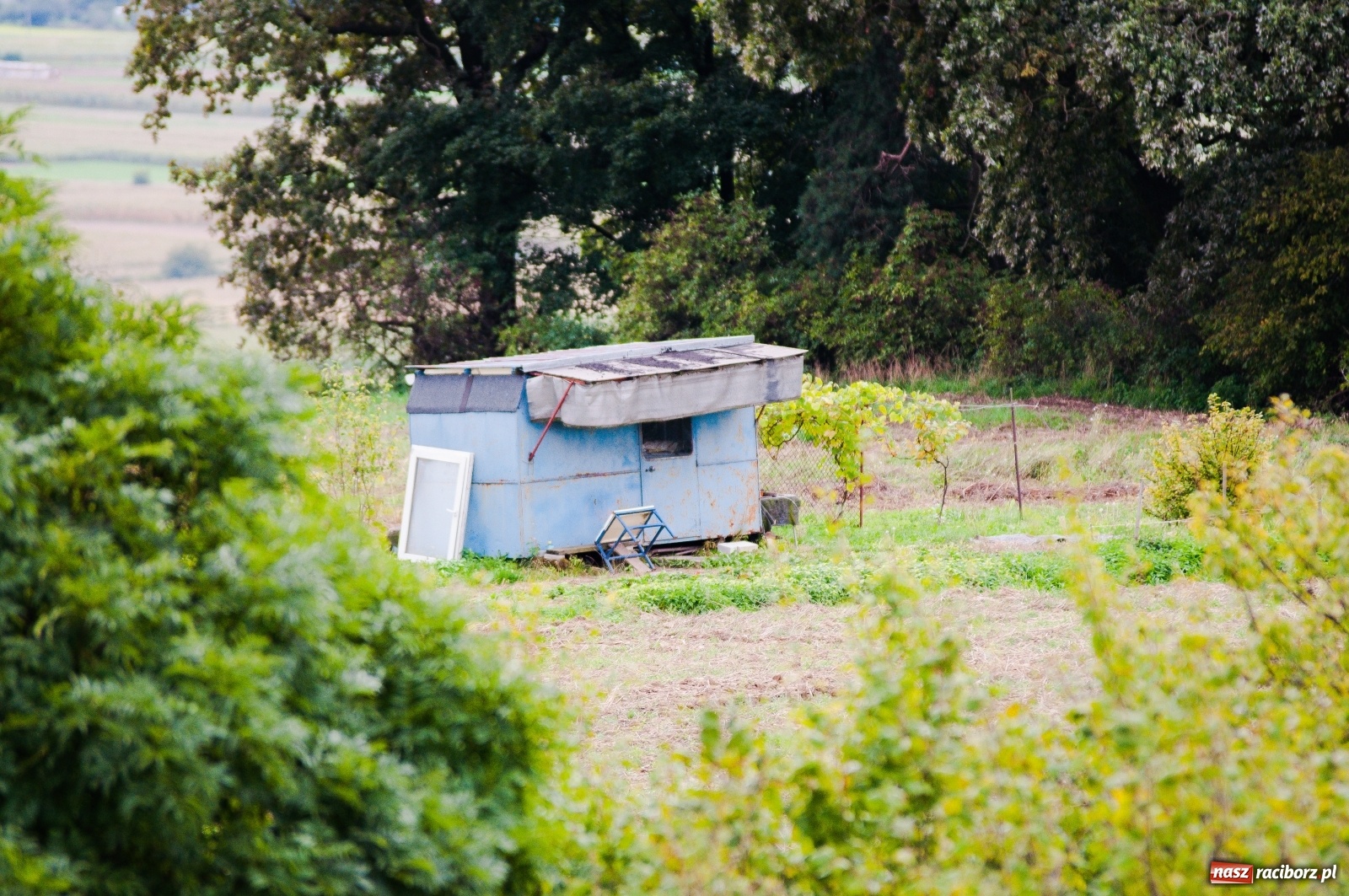 Zdjęcie w galerii na portalu naszraciborz.pl: Wieża widokowa w Pogrzebieniu już otwarta. Zobaczcie, co z niej widać [FOTO]  wiadomości z regionu