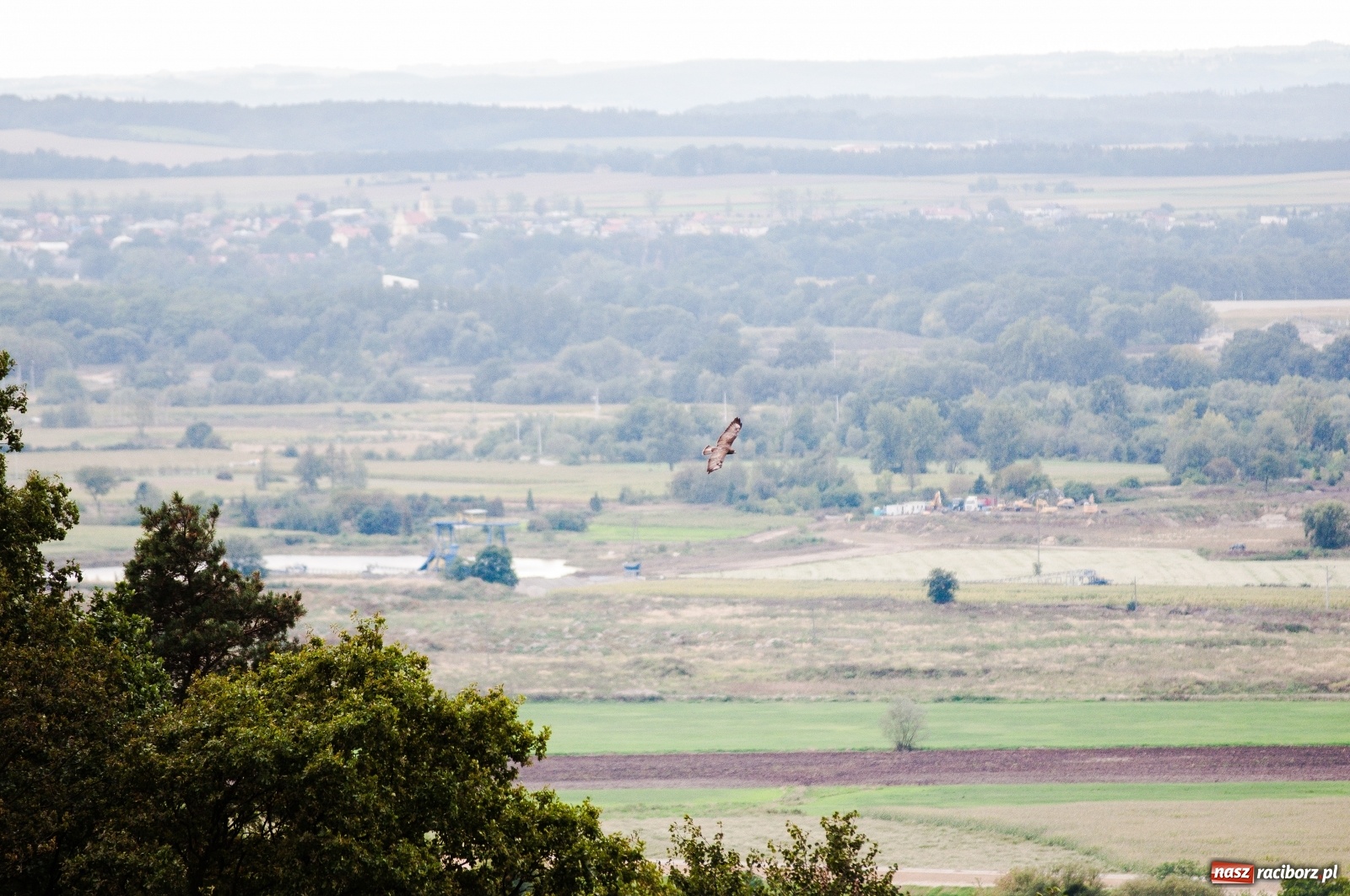 Zdjęcie w galerii na portalu naszraciborz.pl: Wieża widokowa w Pogrzebieniu już otwarta. Zobaczcie, co z niej widać [FOTO]  wiadomości z regionu