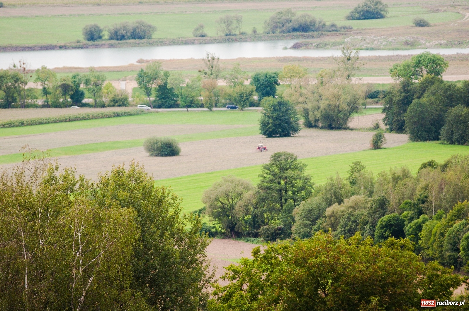 Zdjęcie w galerii na portalu naszraciborz.pl: Wieża widokowa w Pogrzebieniu już otwarta. Zobaczcie, co z niej widać [FOTO]  wiadomości z regionu