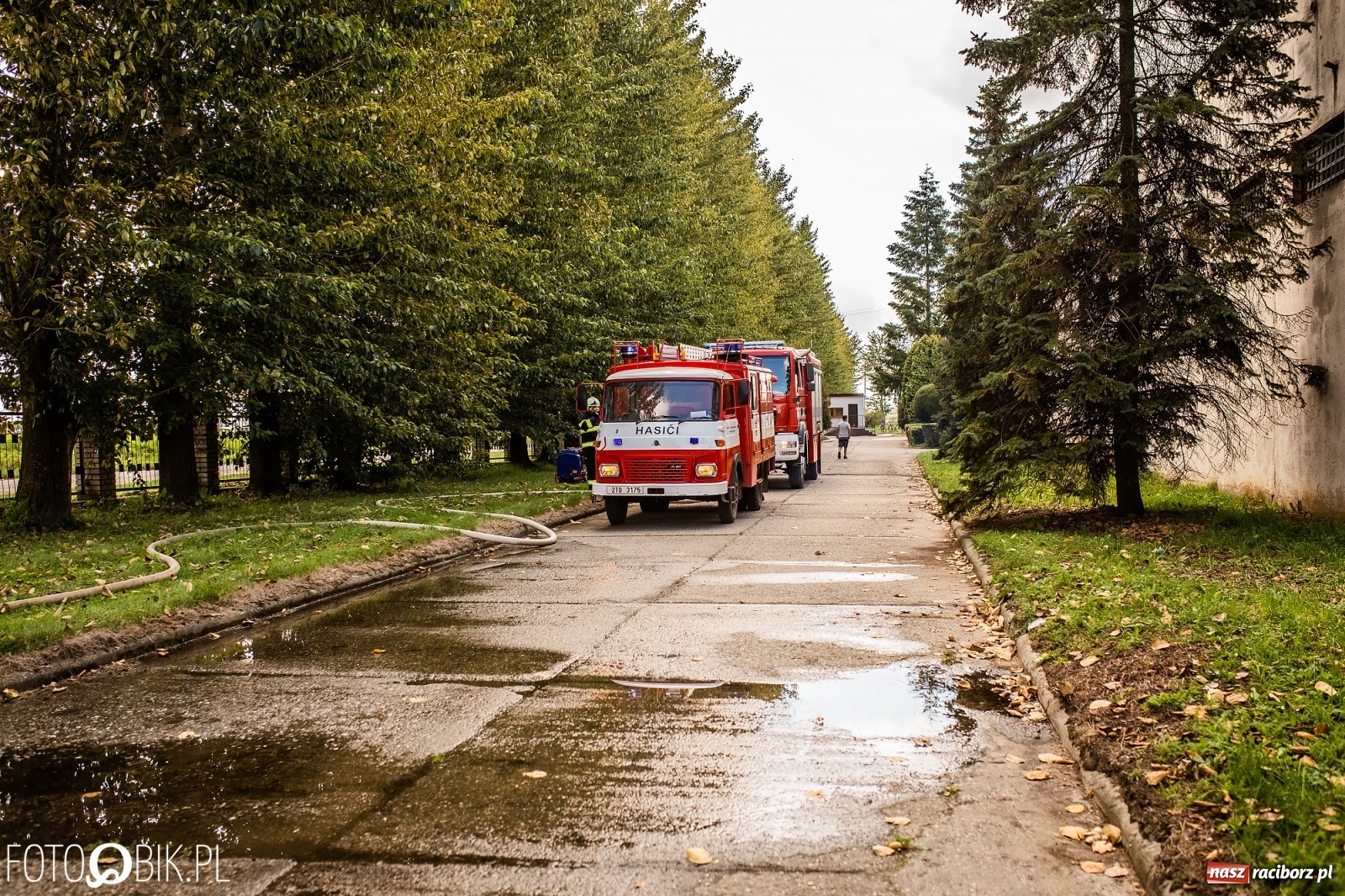 Zdjęcie w galerii na portalu naszraciborz.pl: Seria pożarów w Krzanowicach [FOTO i WIDEO]  wiadomości z regionu