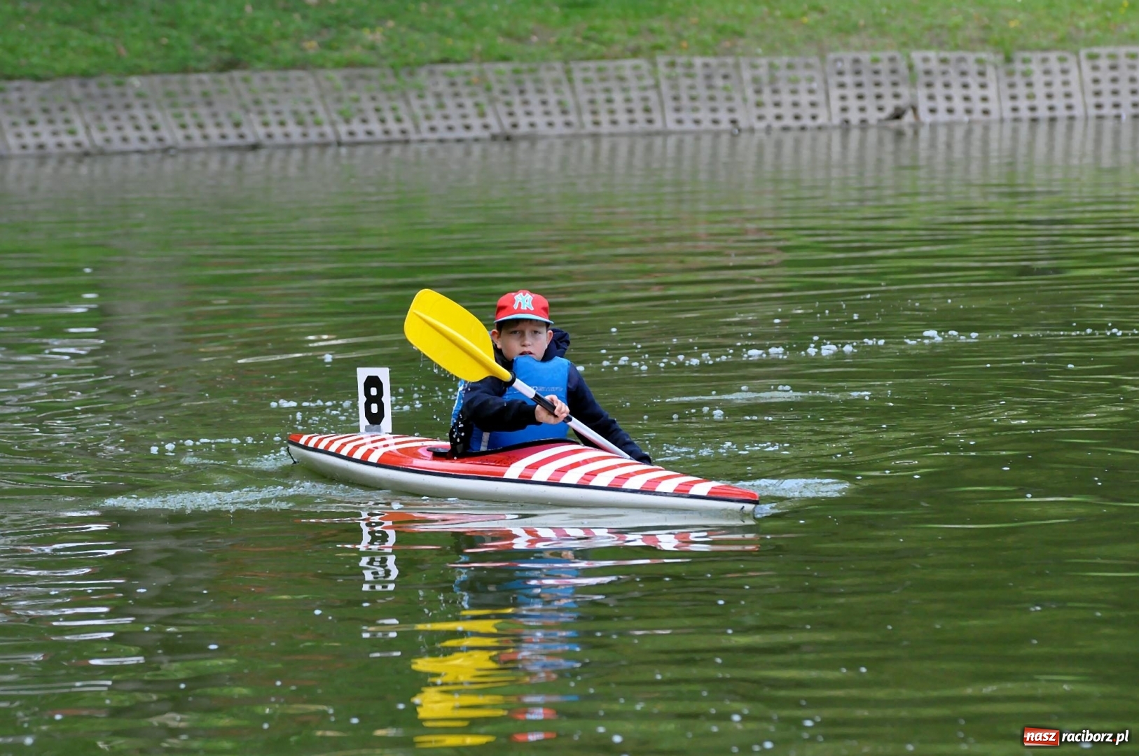 Zdjęcie w galerii na portalu naszraciborz.pl: Mistrzostwa Raciborza w kajakarstwie [FOTO i WIDEO]  wiadomości z regionu