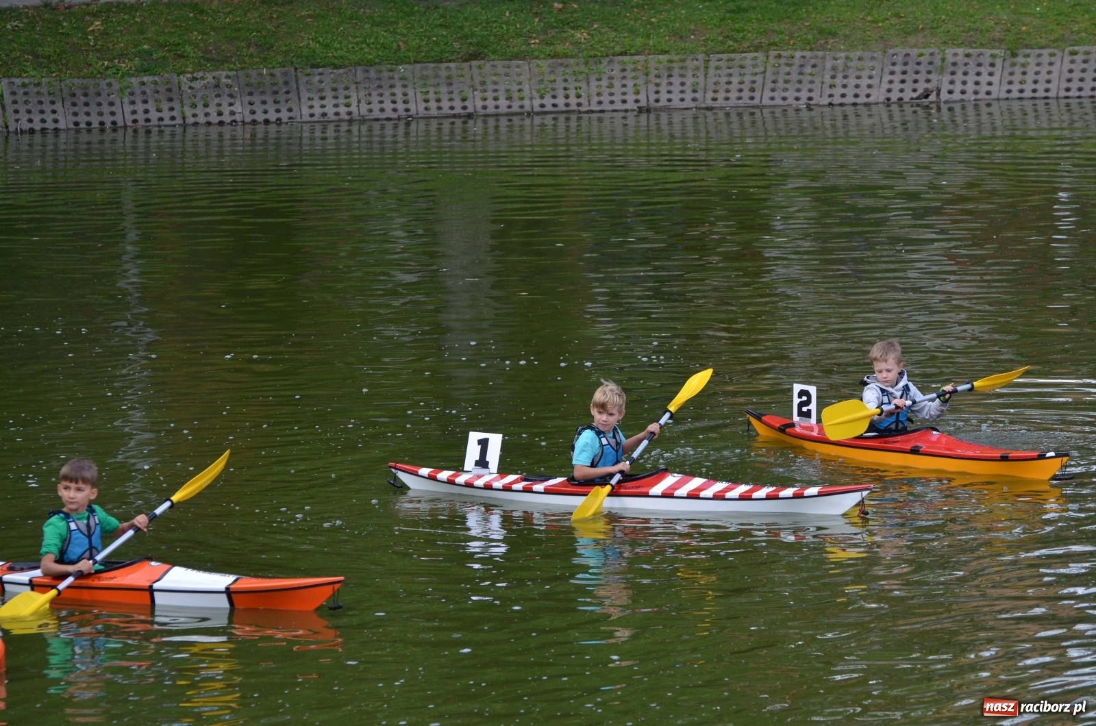 Zdjęcie w galerii na portalu naszraciborz.pl: Mistrzostwa Raciborza w kajakarstwie [FOTO i WIDEO]  wiadomości z regionu