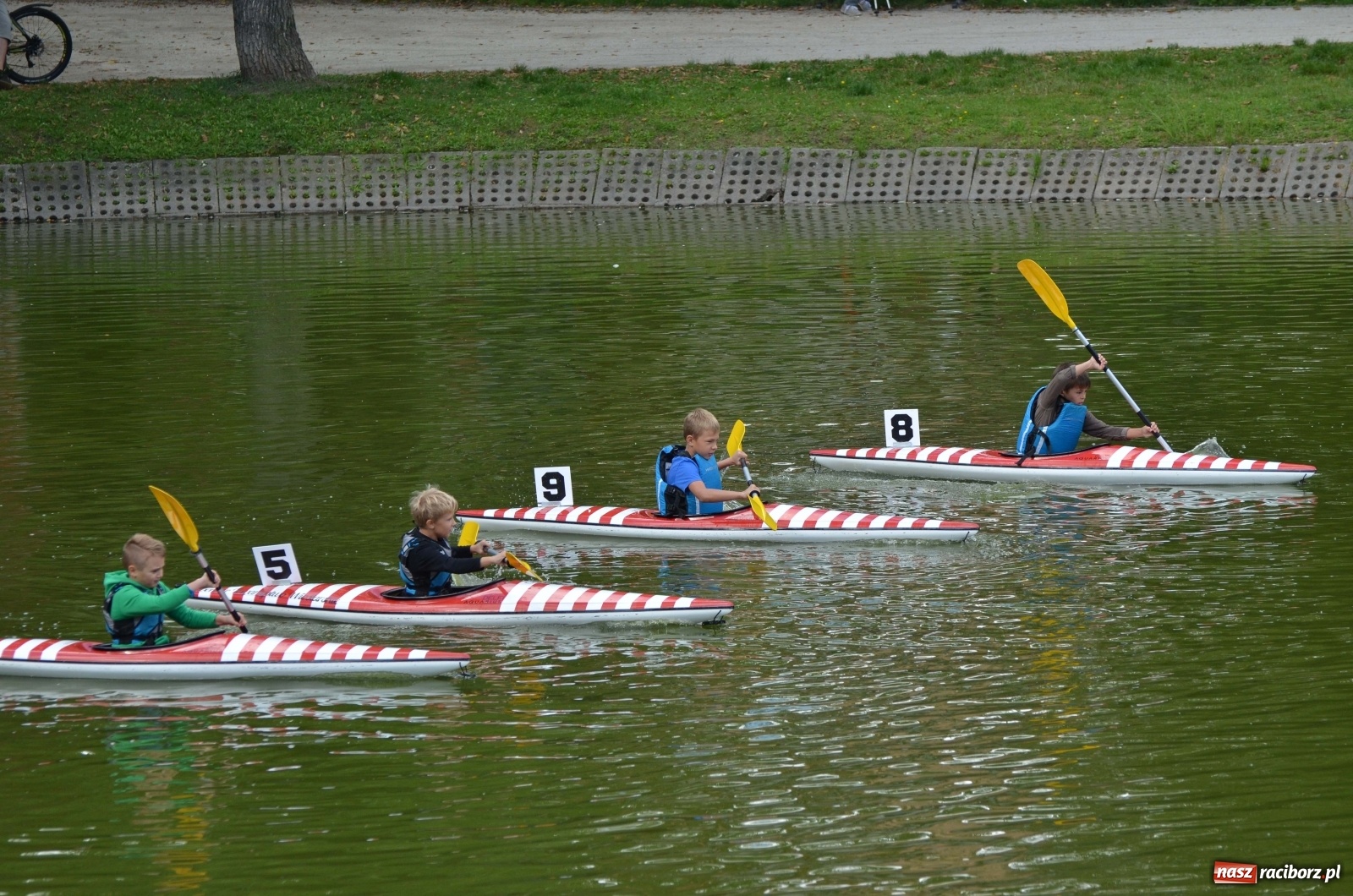 Zdjęcie w galerii na portalu naszraciborz.pl: Mistrzostwa Raciborza w kajakarstwie [FOTO i WIDEO]  wiadomości z regionu