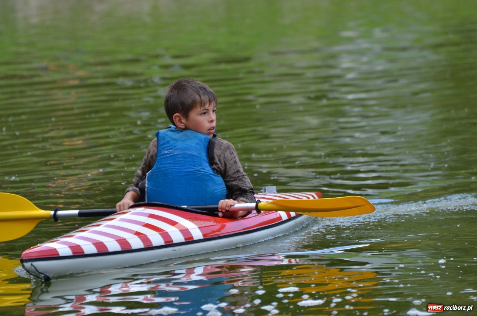 Zdjęcie w galerii na portalu naszraciborz.pl: Mistrzostwa Raciborza w kajakarstwie [FOTO i WIDEO]  wiadomości z regionu