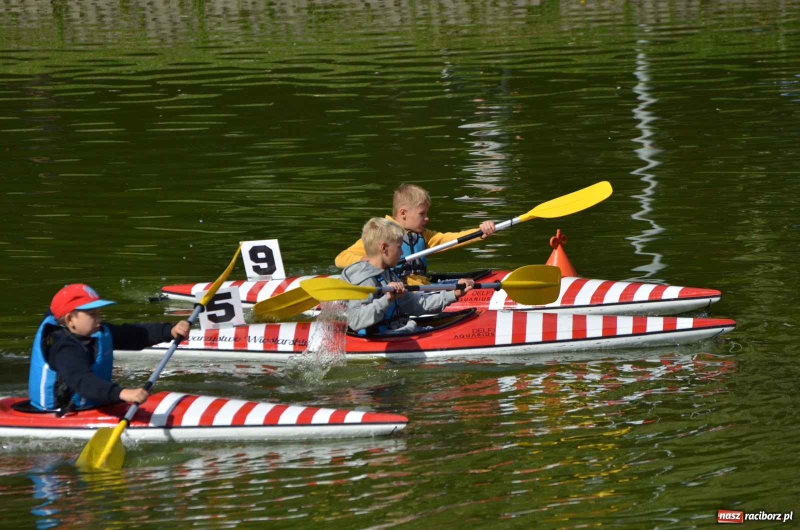 Zdjęcie w galerii na portalu naszraciborz.pl: Mistrzostwa Raciborza w kajakarstwie [FOTO i WIDEO]  wiadomości z regionu
