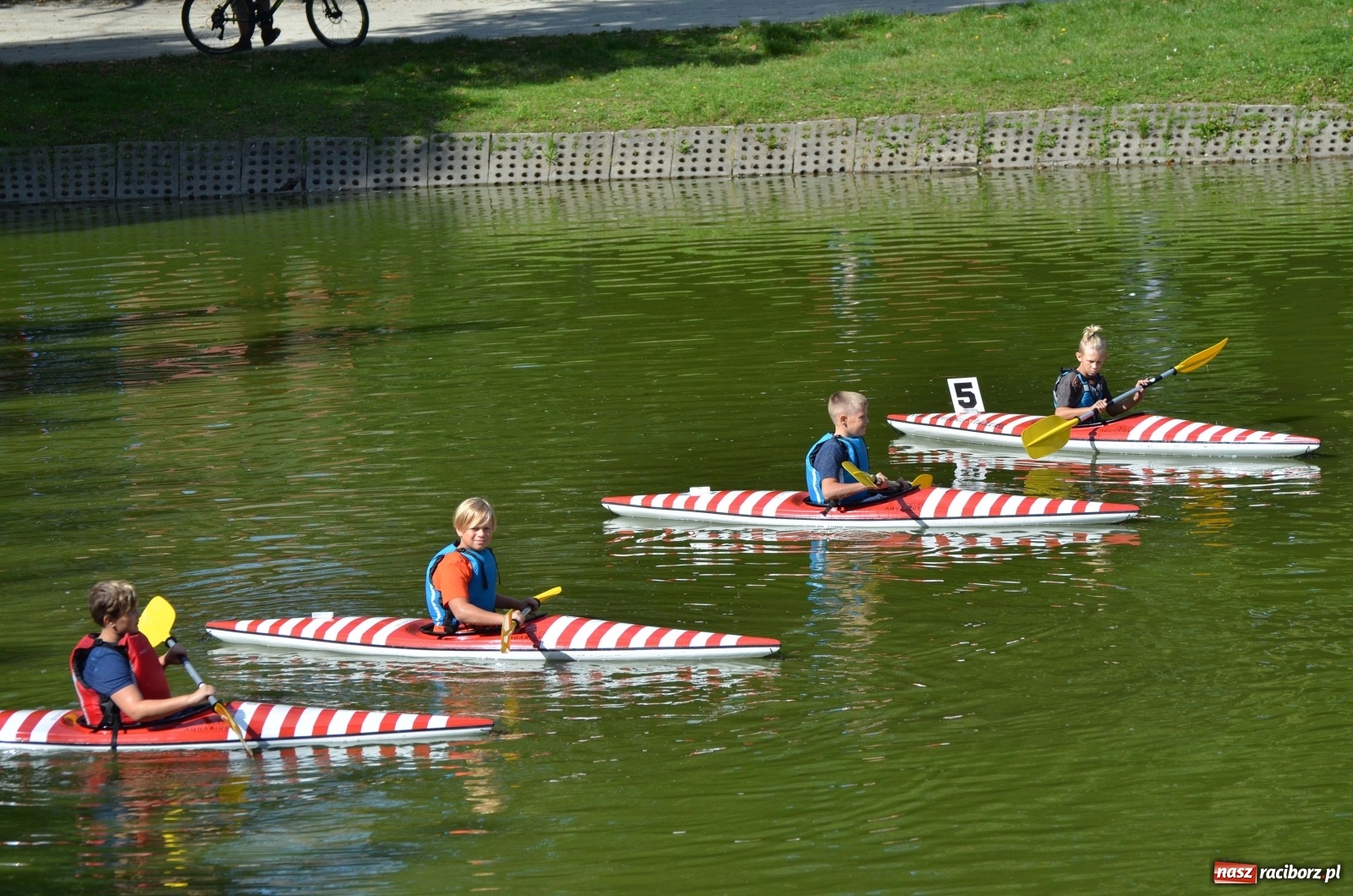 Zdjęcie w galerii na portalu naszraciborz.pl: Mistrzostwa Raciborza w kajakarstwie [FOTO i WIDEO]  wiadomości z regionu