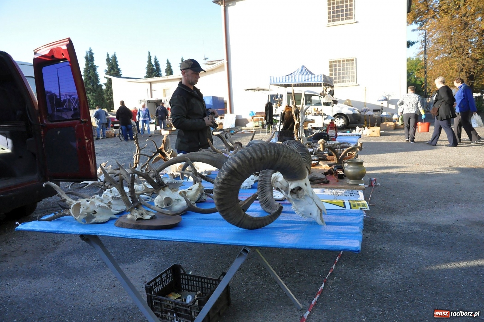 Zdjęcie w galerii na portalu naszraciborz.pl: Jesienny Jarmark na Granicy w Chałupkach [FOTO] wiadomości z regionu