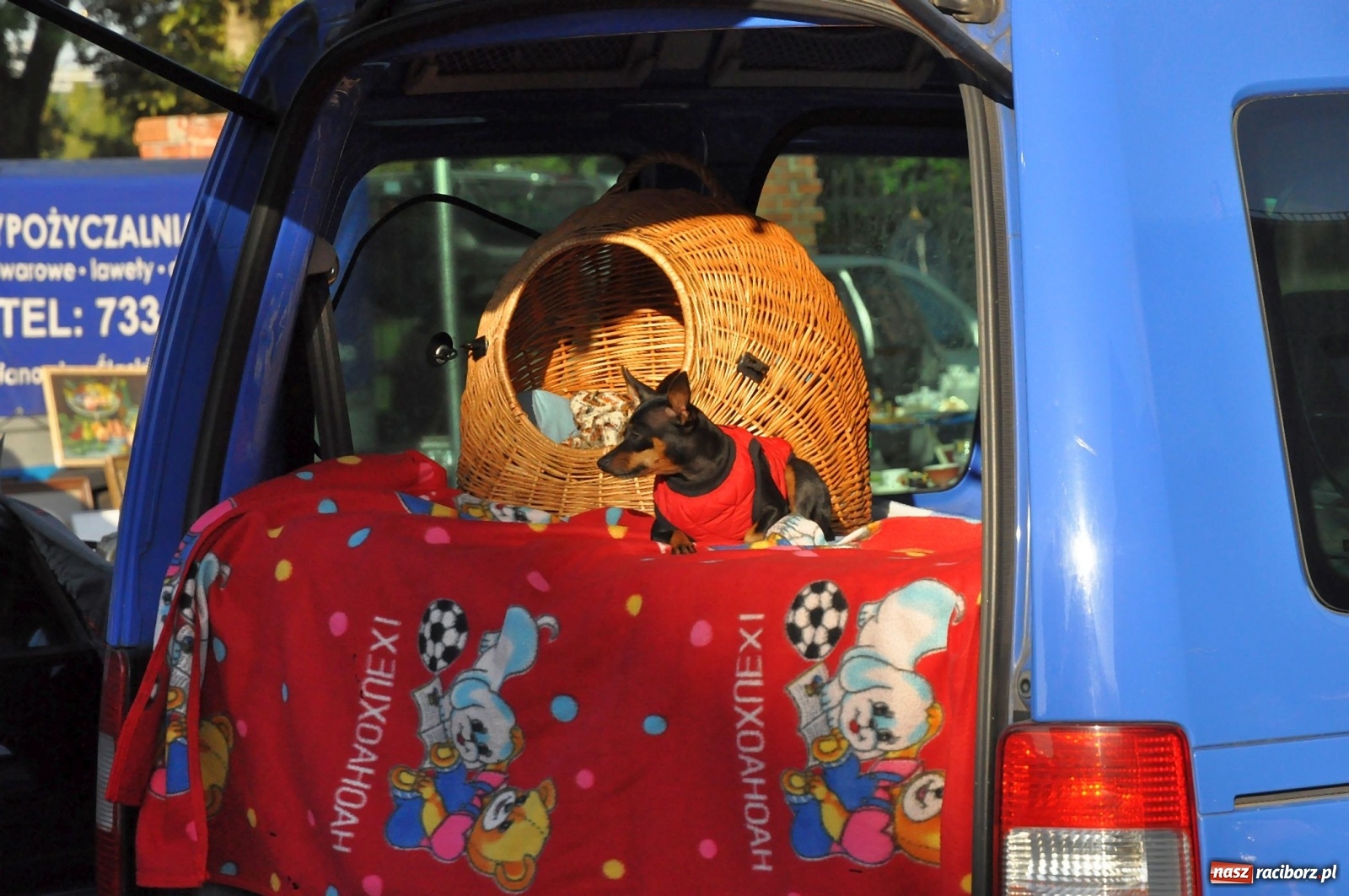 Zdjęcie w galerii na portalu naszraciborz.pl: Jesienny Jarmark na Granicy w Chałupkach [FOTO] wiadomości z regionu