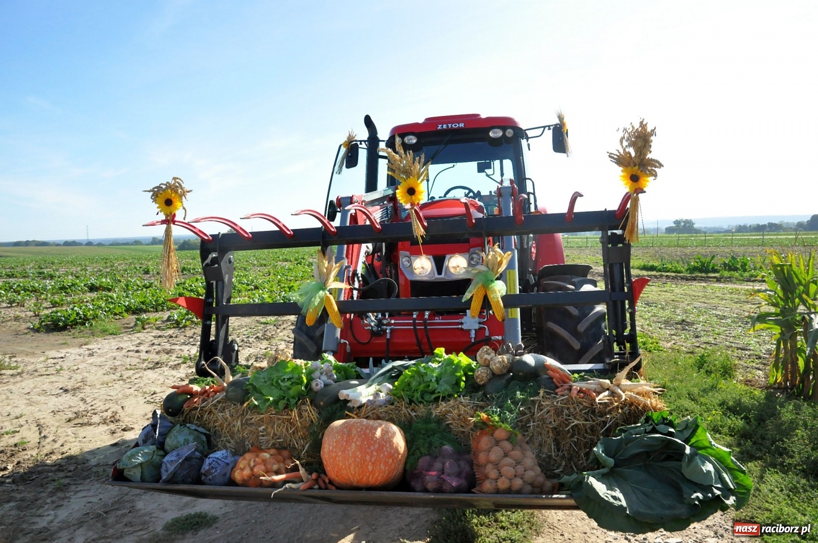 Zdjęcie w galerii na portalu naszraciborz.pl: Mała Miedonia, wielkie dożynki. Racibórz dziękuje za plony [FOTO i WIDEO]  wiadomości z regionu