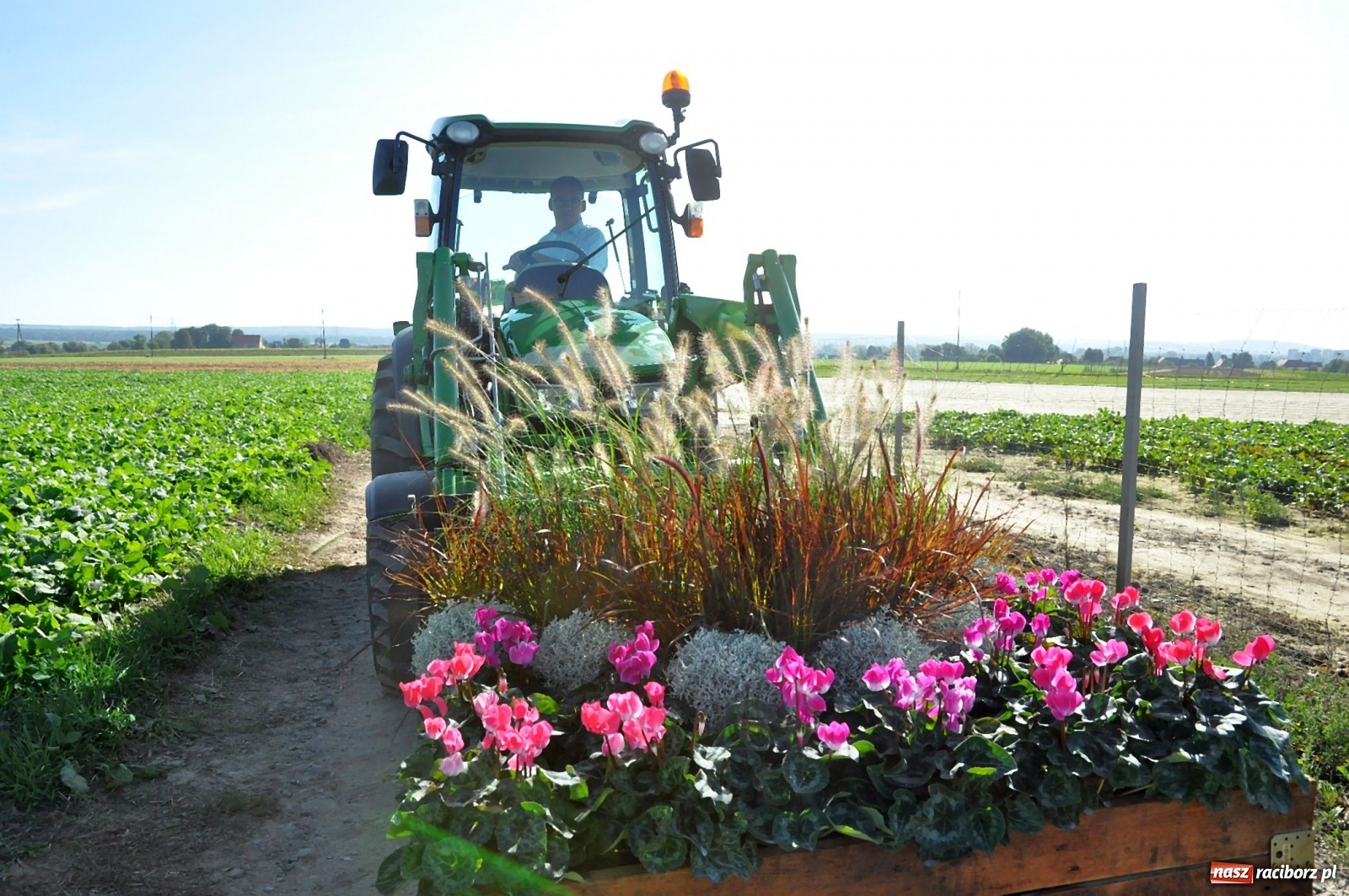 Zdjęcie w galerii na portalu naszraciborz.pl: Mała Miedonia, wielkie dożynki. Racibórz dziękuje za plony [FOTO i WIDEO]  wiadomości z regionu