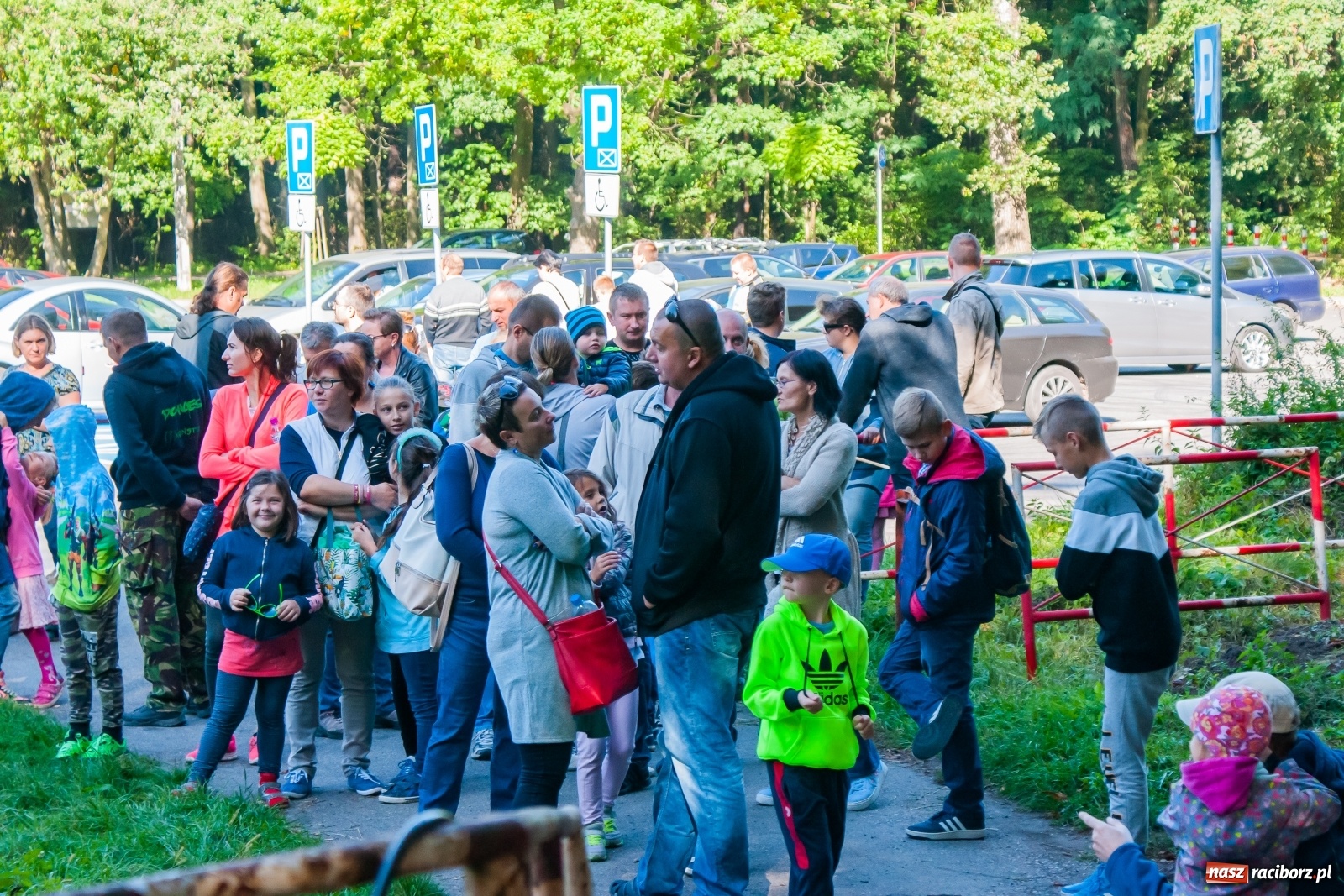 Zdjęcie w galerii na portalu naszraciborz.pl: Miała być frajda, a wyszła granda [FOTO i WIDEO] wiadomości z regionu