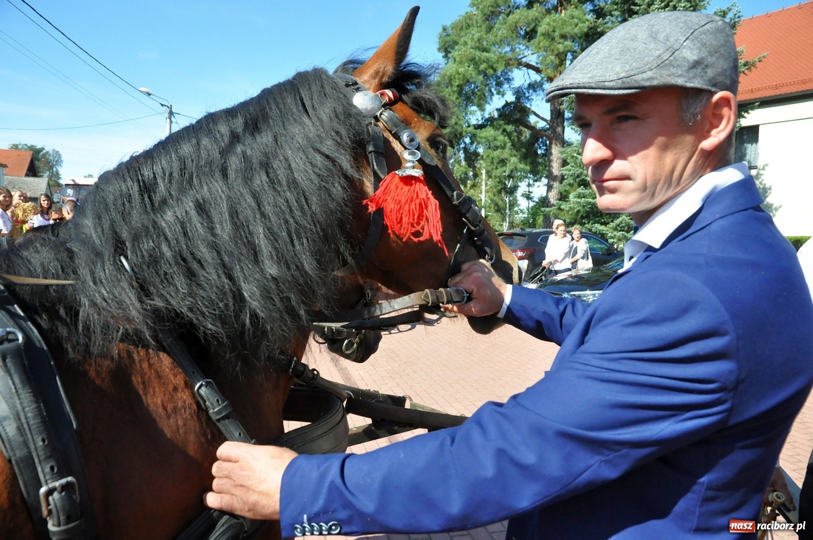 Zdjęcie w galerii na portalu naszraciborz.pl: Loża przywódców na dożynkach w Pawłowie [FOTO i WIDEO]  wiadomości z regionu