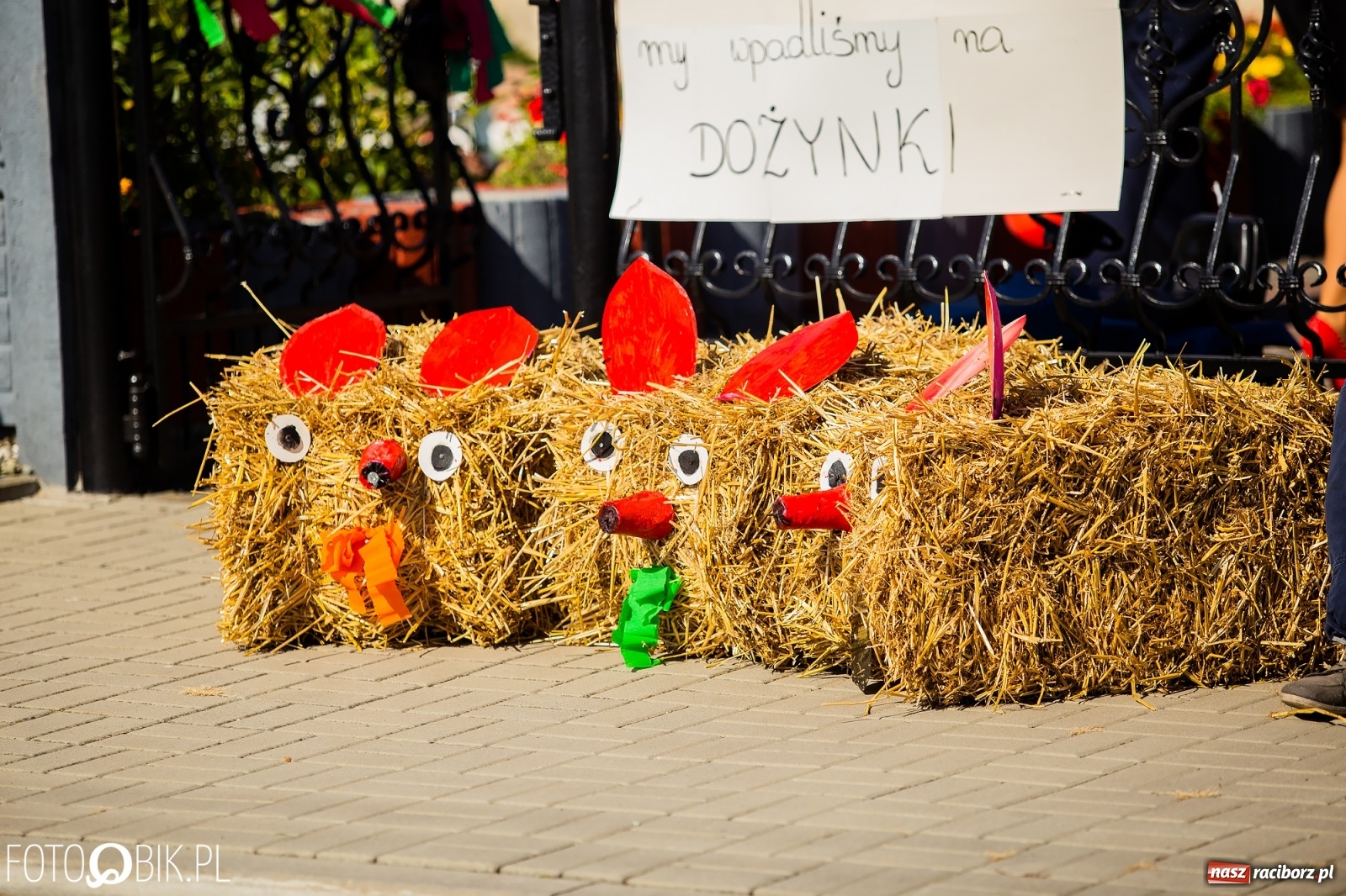 Zdjęcie w galerii na portalu naszraciborz.pl: Dożynki parafialne w Bieńkowicach [FOTO i WIDEO] wiadomości z regionu