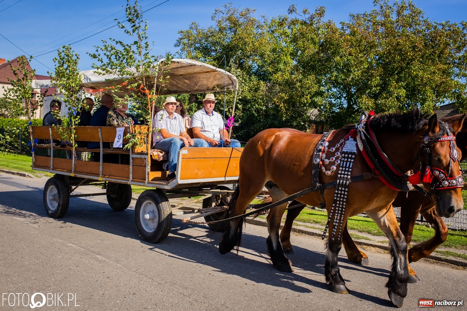 Zdjęcie w galerii na portalu naszraciborz.pl: Korowód jak maraton. Dożynki w Pogrzebieniu [FOTO i WIDEO]  wiadomości z regionu