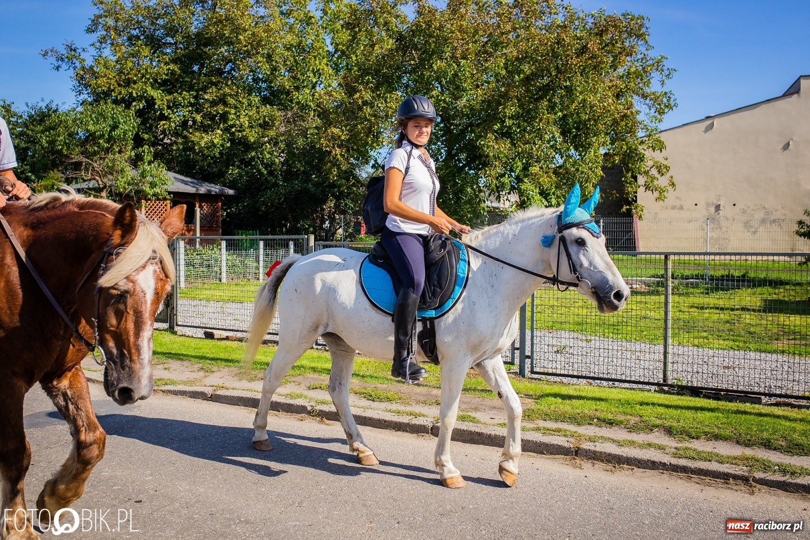 Zdjęcie w galerii na portalu naszraciborz.pl: Korowód jak maraton. Dożynki w Pogrzebieniu [FOTO i WIDEO]  wiadomości z regionu