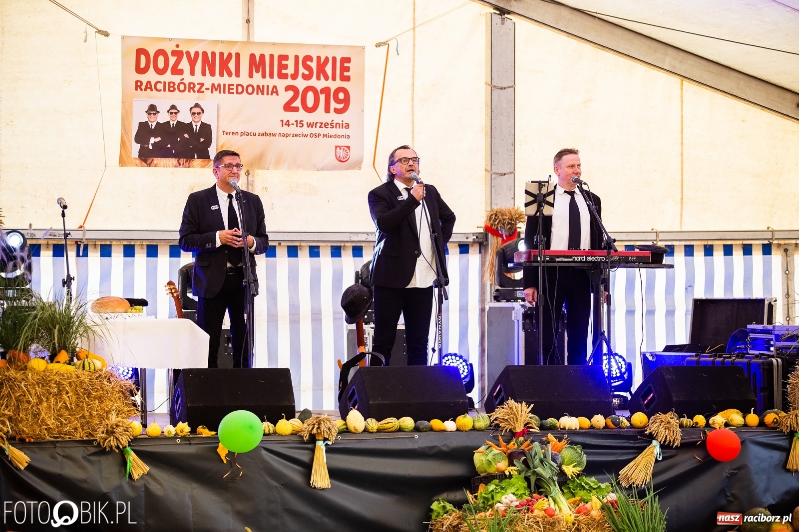 Zdjęcie w galerii na portalu naszraciborz.pl: Występ kabaretu OT.TO na Dożynkach Miejskich wiadomości z regionu