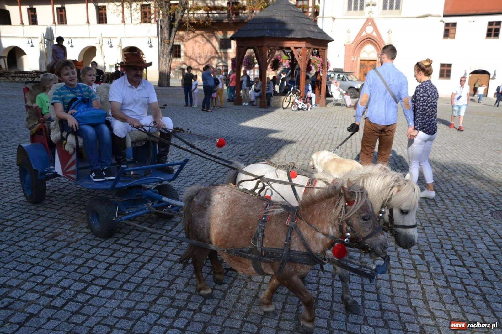 Zdjęcie w galerii na portalu naszraciborz.pl: „Raciborzanin - to brzmi dumnie” - II edycja festiwalu za nami [FOTO] wiadomości z regionu