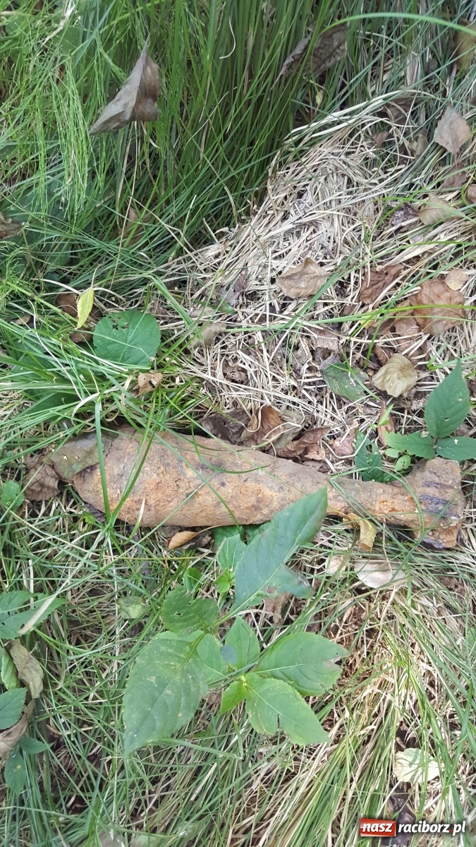 Zdjęcie w galerii na portalu naszraciborz.pl: W Oborze leżał sobie... pocisk  wiadomości z regionu